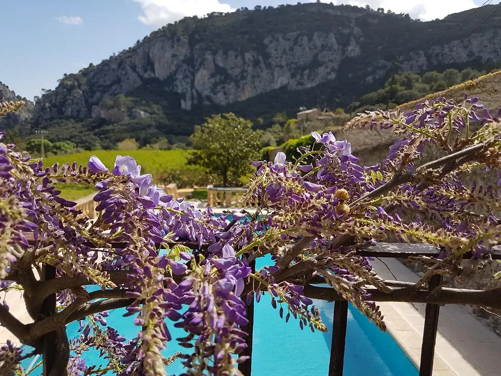 Finca Son Brondo Apartments Valldemossa  0*, Valldemossa (Mallorca)