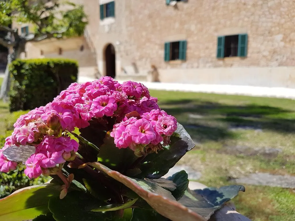 Finca Son Brondo Apartments Valldemossa