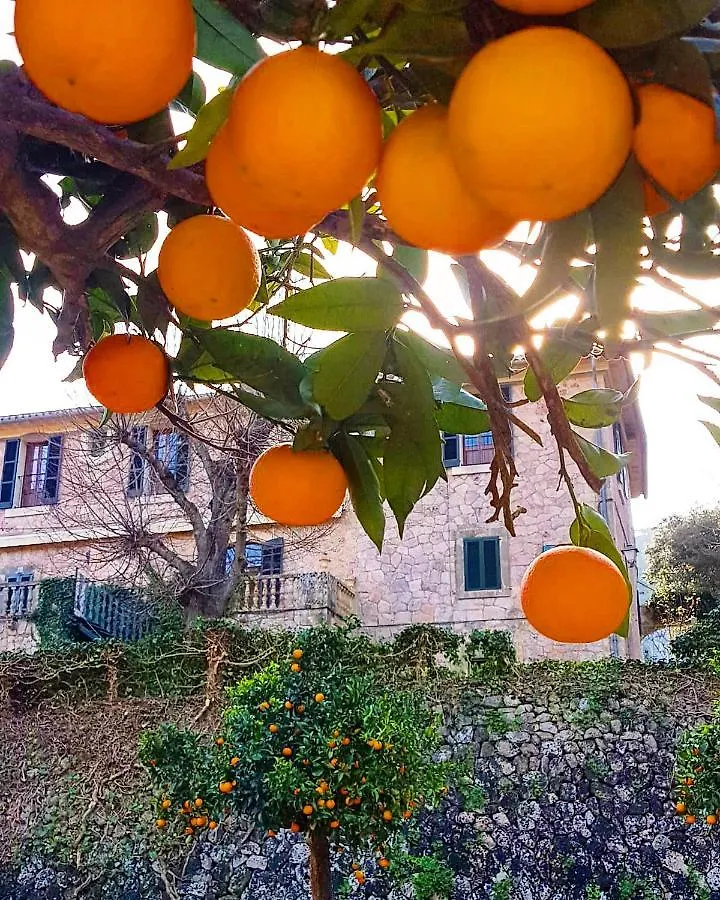 Finca Son Brondo Apartments Valldemossa  Valldemossa (Mallorca)